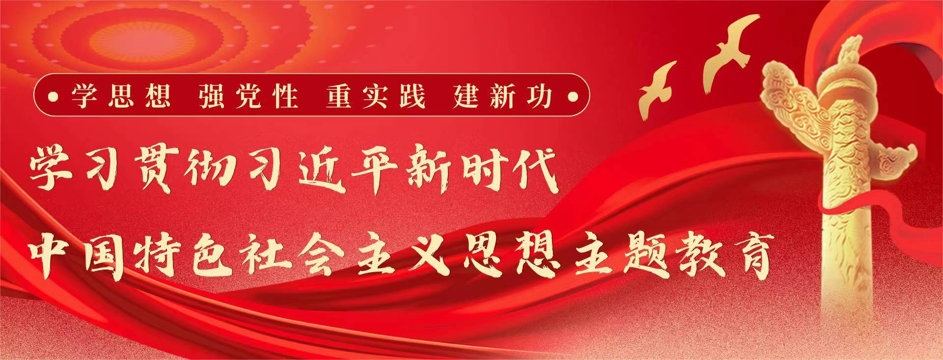 学习贯彻习近平新时代中国特色社会主义思想主题教育